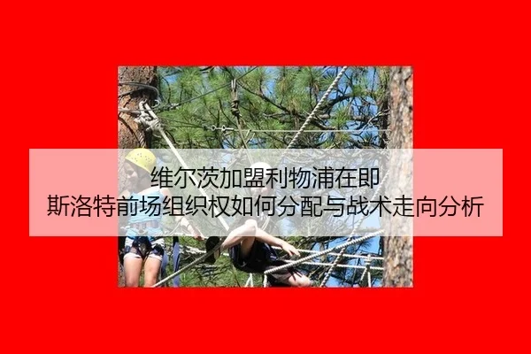 维尔茨加盟利物浦在即 斯洛特前场组织权如何分配与战术走向分析